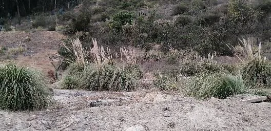 Terreno - Ambato, Tungurahua — imagen 4