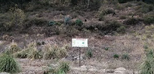 Terreno - Ambato, Tungurahua — imagen 3