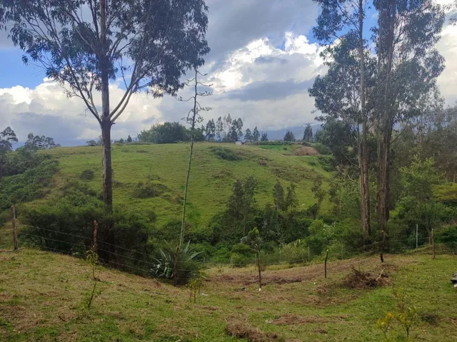 Terreno en Venta, Alangasí — imagen 3