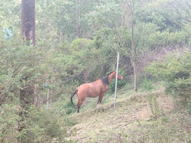 Terreno en Venta, Alangasí — imagen 2