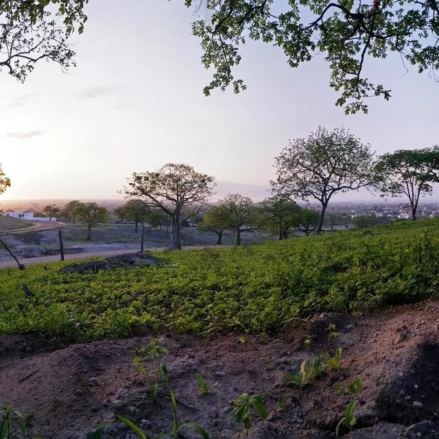 En Venta Terreno en Manta Urbanización Costa del Este, Manabí — imagen 5