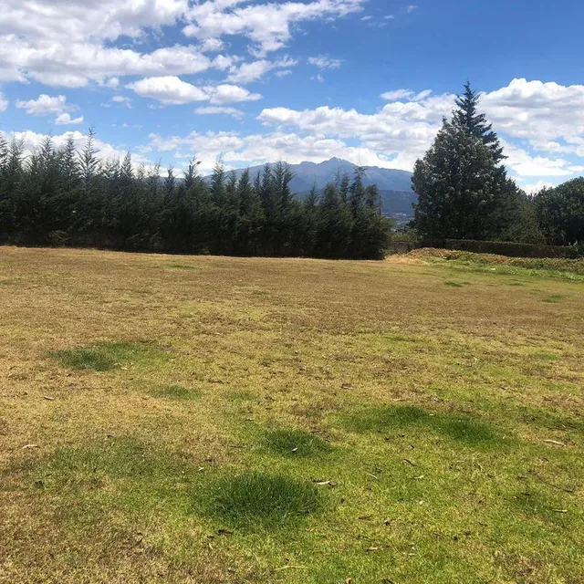 Terreno de Venta en La Zona de Mayor Crecimiento en Puembo — imagen 3