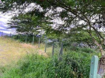 Hermoso Terreno de Venta en Shalom Mangahuantag Puembo! Vista! — imagen 3