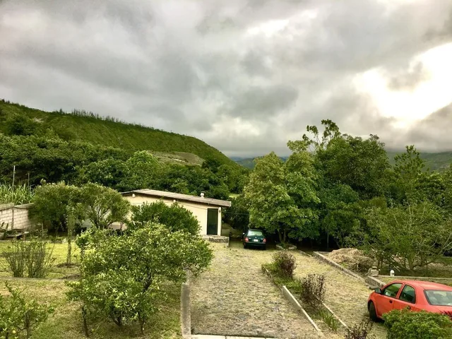 Jal. Venta de Terreno Guayllabamba 5.000 m², Abundante Agua y Árboles Frutales — imagen 4