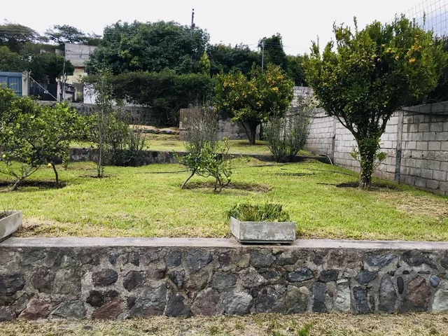 Jal. Venta de Terreno Guayllabamba 5.000 m², Abundante Agua y Árboles Frutales — imagen 3