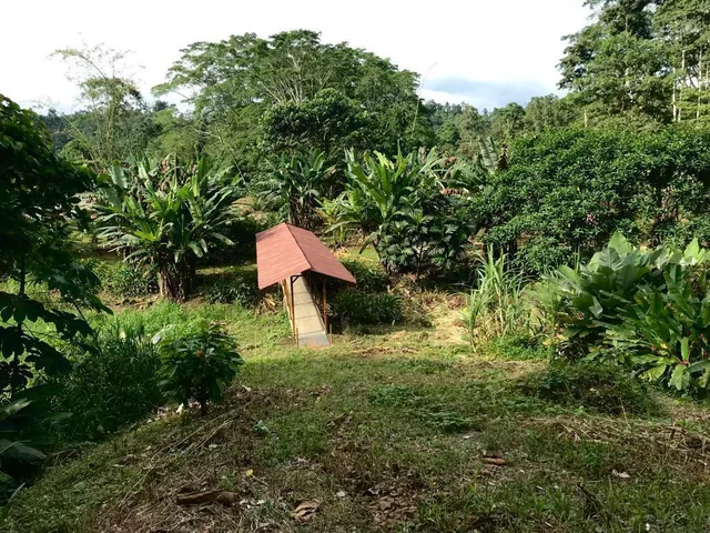 Venta Lotes en Urbanización, 650 m², Puerto Quito, Piscina — imagen 2
