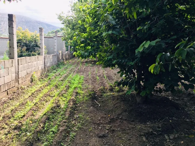 Jal. Venta Casa Guayllabamba, 4 Dorm. y Terreno de 2700 m² — imagen 2