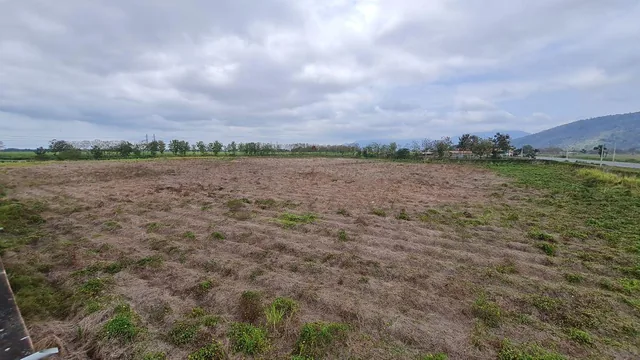 Terreno Agrícola en Venta 8.5 Has Al Pie de Carretera - Naranjal, Sector El Mango, Guayas — imagen 5