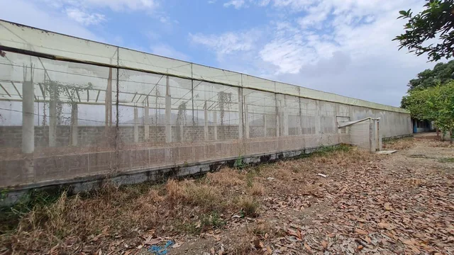 Terreno Agrícola en Venta 8.5 Has Al Pie de Carretera - Naranjal, Sector El Mango, Guayas — imagen 3