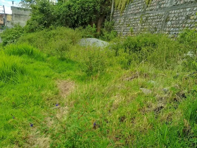 Terreno en Venta 484 m² — imagen 4