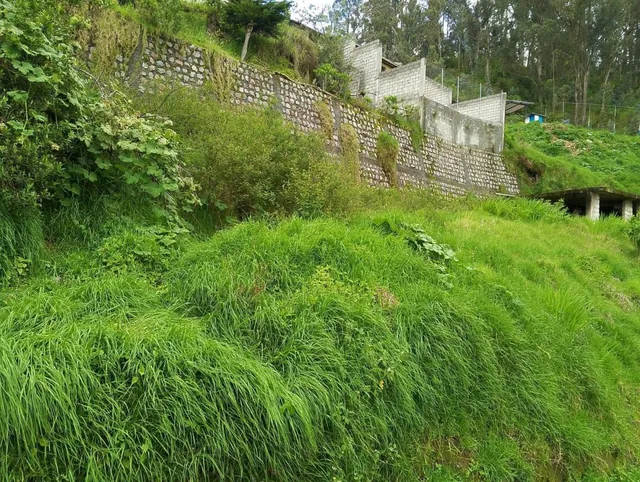 Terreno en Venta 484 m² — imagen 2