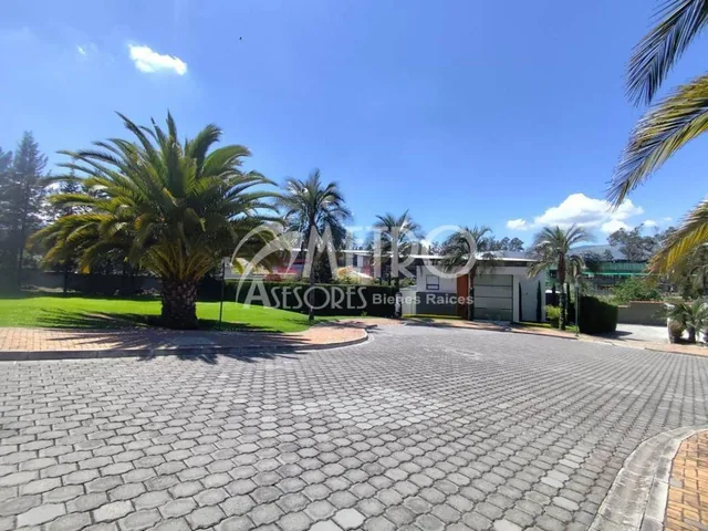 Terreno en Venta de 1246 m² en Puembo — imagen 3