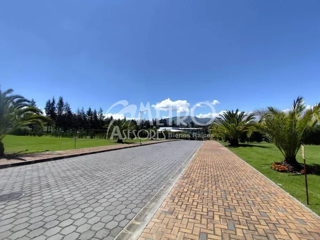 Terreno en Venta de 1246 m² en Puembo — imagen 2