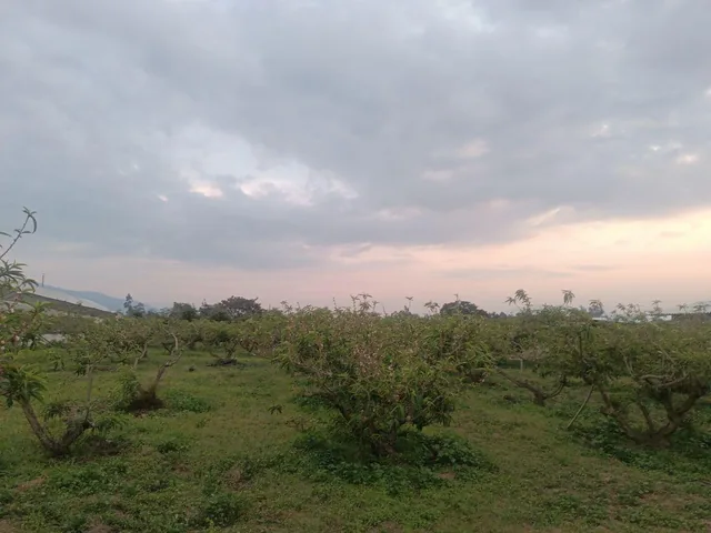 Vendo Excelente Terreno de 9700 m en Checa, con Todos Los Servicios — imagen 5