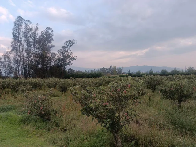 Vendo Excelente Terreno de 9700 m en Checa, con Todos Los Servicios — imagen 2