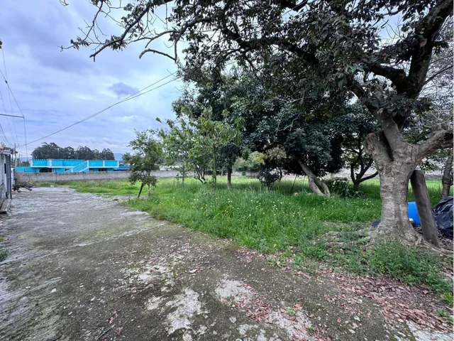 Terreno con Casa Sector, en Venta, San Fernando — imagen 5