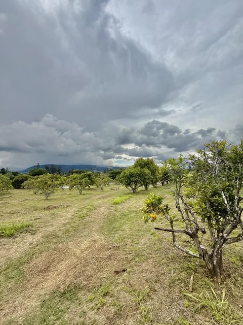 En Venta Terreno Unifamiliar Ideal Para Contruir Casas de 1 o 2 Plantas, Collaqui Tumbaco — imagen 2