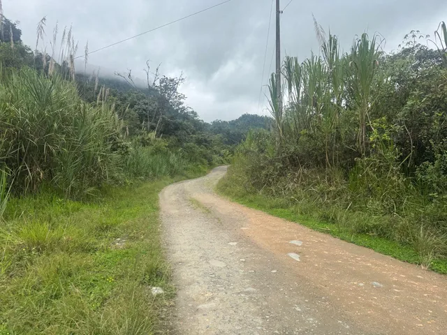 Terreno de Venta 1000 m² Vía Al Cinto a Saloya Mindo Logde — imagen 5