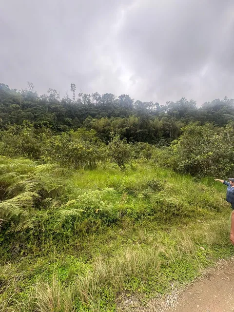 Terreno de Venta 1000 m² Vía Al Cinto a Saloya Mindo Logde — imagen 4
