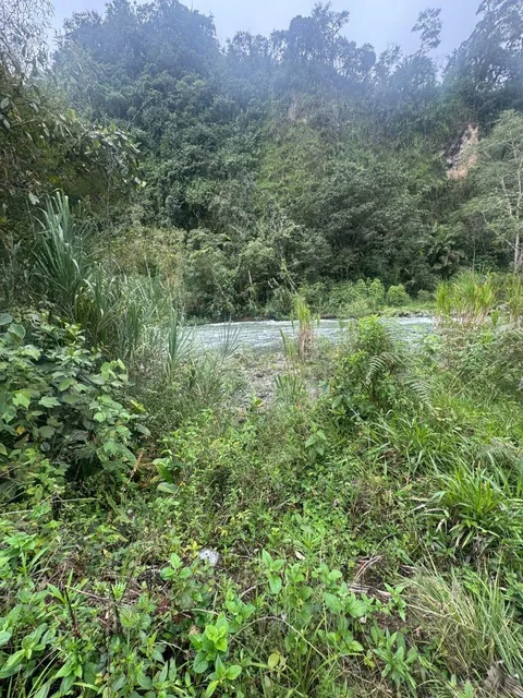 Terreno de Venta 1000 m² Vía Al Cinto a Saloya Mindo Logde — imagen 2