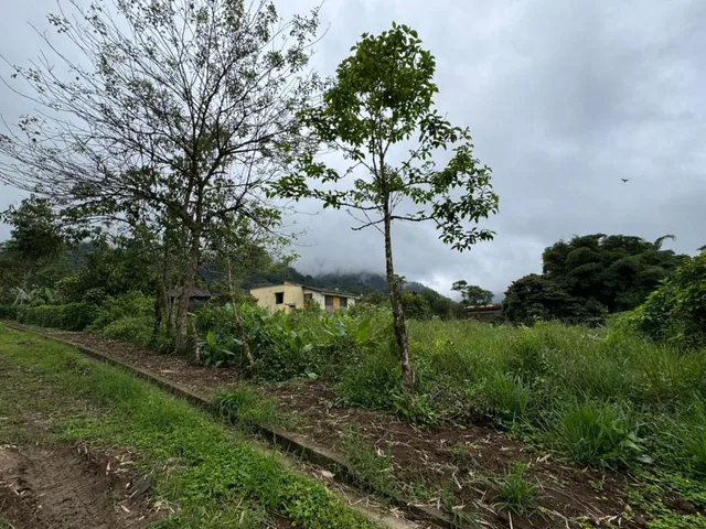 Terreno de Venta 1375 m² Dentro de Urbanización Yaguira Mindo — imagen 5