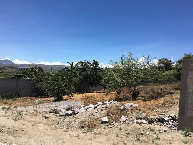 Jal. Venta Terreno Guayllabamba 750 m² en Cebauco, Cerca Al Zoológico — imagen 4