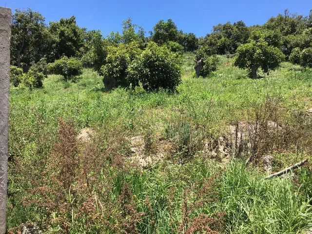 Jal. Venta Terreno Guayllabamba 750 m² en Cebauco, Cerca Al Zoológico — imagen 3