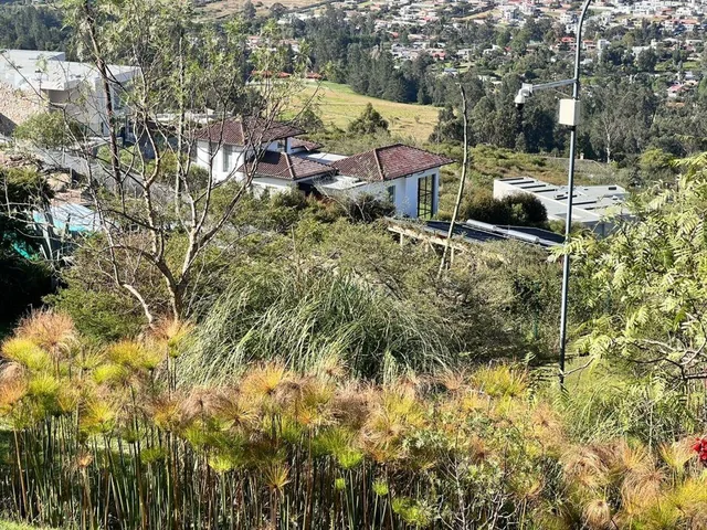 Terrenos en Venta Urbanizacion Privada en Tumbaco — imagen 5