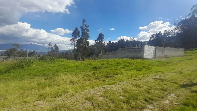 Terreno Independiente en Venta Puente 3 600 m² — imagen 3