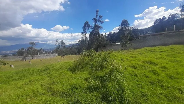 Terreno Independiente en Venta Puente 3 600 m² — imagen 2