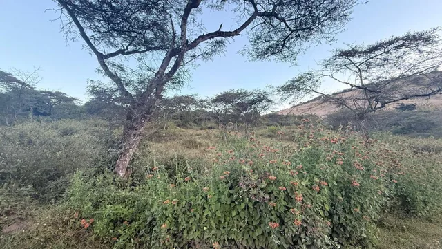 De Oportunidad Vendo Terreno en Urcuquí, Vía Asfaltada! Plusvalía, Imbabura — imagen 2