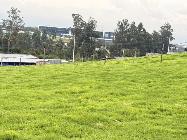 Venta Terrenos Tababela a 2 Cuadras Vía Principal Aeropuerto — imagen 4