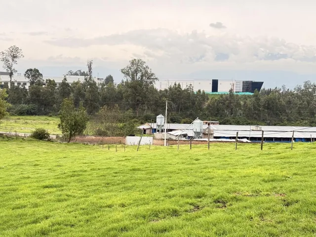 Venta Terrenos Tababela a 2 Cuadras Vía Principal Aeropuerto — imagen 2