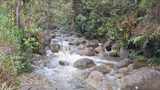 Terreno en Venta12.8 Ha, El Cielito, Canton Mira, Provincia del Carchi, Carchi — imagen 5