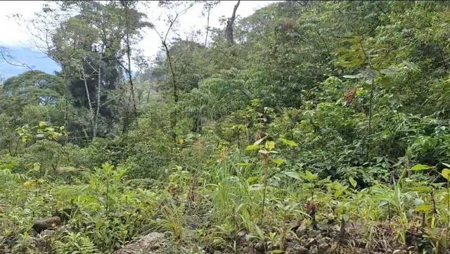 Terreno en Venta12.8 Ha, El Cielito, Canton Mira, Provincia del Carchi, Carchi — imagen 4