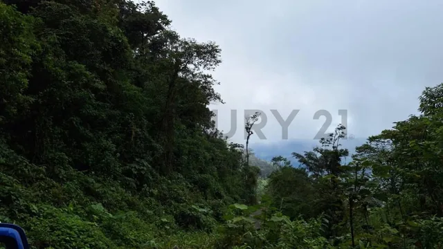 Terreno en Venta12.8 Ha, El Cielito, Canton Mira, Provincia del Carchi, Carchi — imagen 2