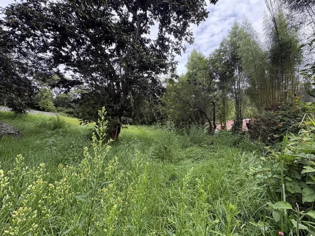 Terreno de Venta Tumbaco Conjunto Residencial Algarrobos — imagen 5