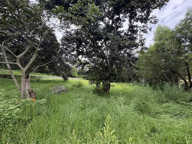 Terreno de Venta Tumbaco Conjunto Residencial Algarrobos — imagen 4
