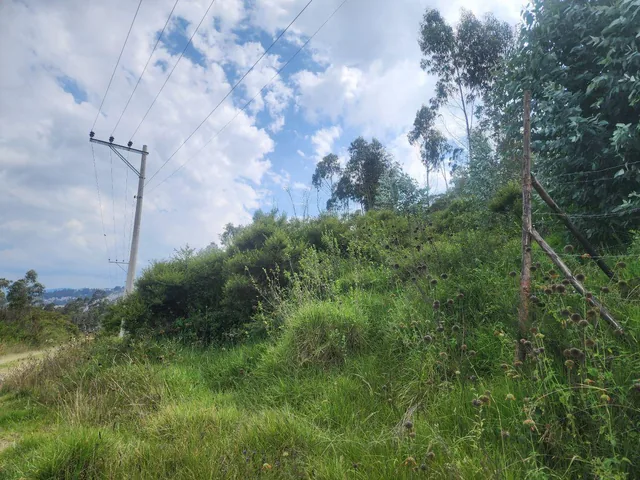 Vendo Terreno 2.818 m Inclinado Sector Bellavista de Carretas (Calle Capri) — imagen 4