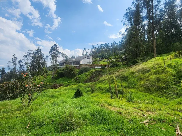 Vendo Terreno 2.818 m Inclinado Sector Bellavista de Carretas (Calle Capri) — imagen 2