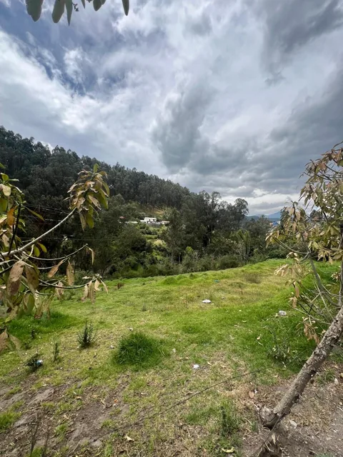 Terreno de 2100 m² en Venta Sangolqui con Acceso Asfaltado — imagen 5