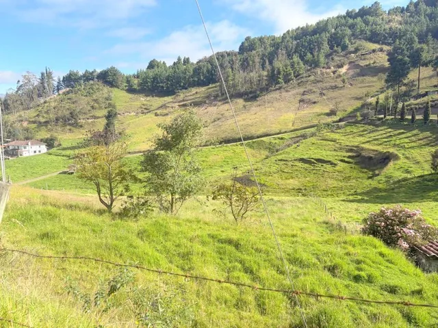 Hermoso Terreno Campestre 13.305 m² en Venta Vía Cumbe – Cuenca Ec, Azuay — imagen 3