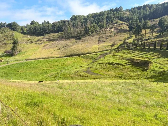 Hermoso Terreno Campestre 13.305 m² en Venta Vía Cumbe – Cuenca Ec, Azuay — imagen 2