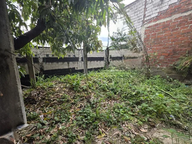Venta de Terreno con Edificación Cdla Francisco. Jácome, Florida Norte, Guayas — imagen 3