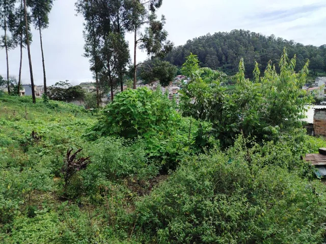 Terreno Grande de Oportunidad 3140 m — imagen 4