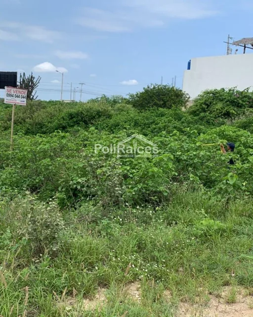 Vendo Solar en Punta Blanca Entrada 5 — imagen 2