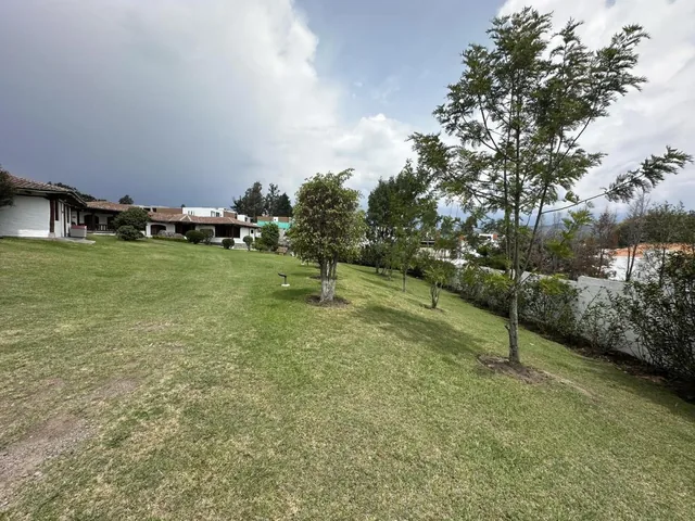 Terreno de Venta en La Viña Alta Ideal Para Proyecto — imagen 5