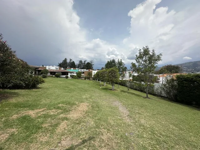 Terreno de Venta en La Viña Alta Ideal Para Proyecto — imagen 3