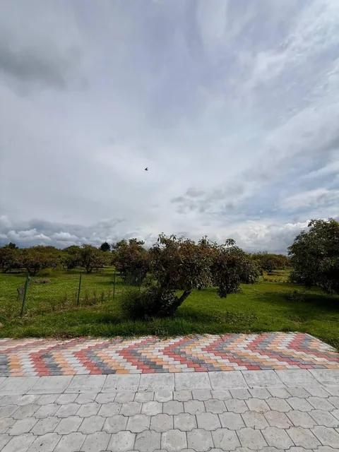 Terreno - en Venta - Puembo 819 m² — imagen 4