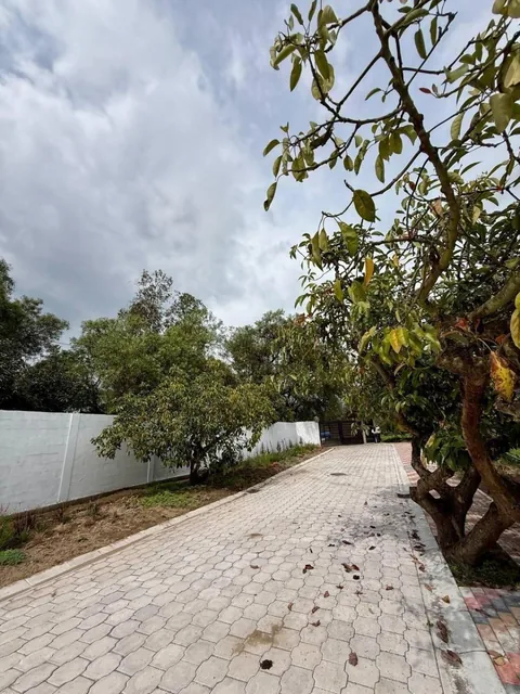 Terreno - en Venta - Puembo 819 m² — imagen 3